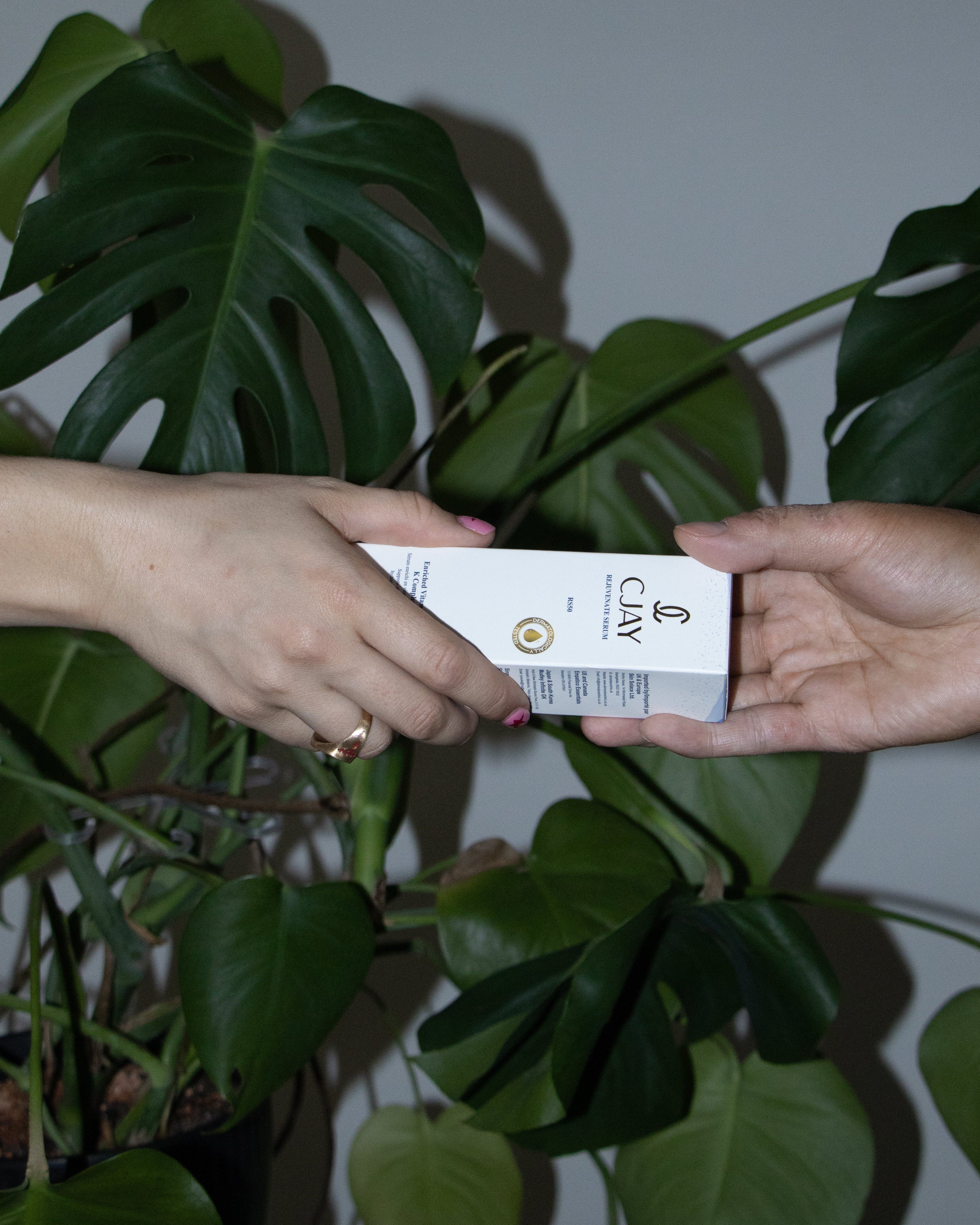 Two hands holding a white box with a plant in the background